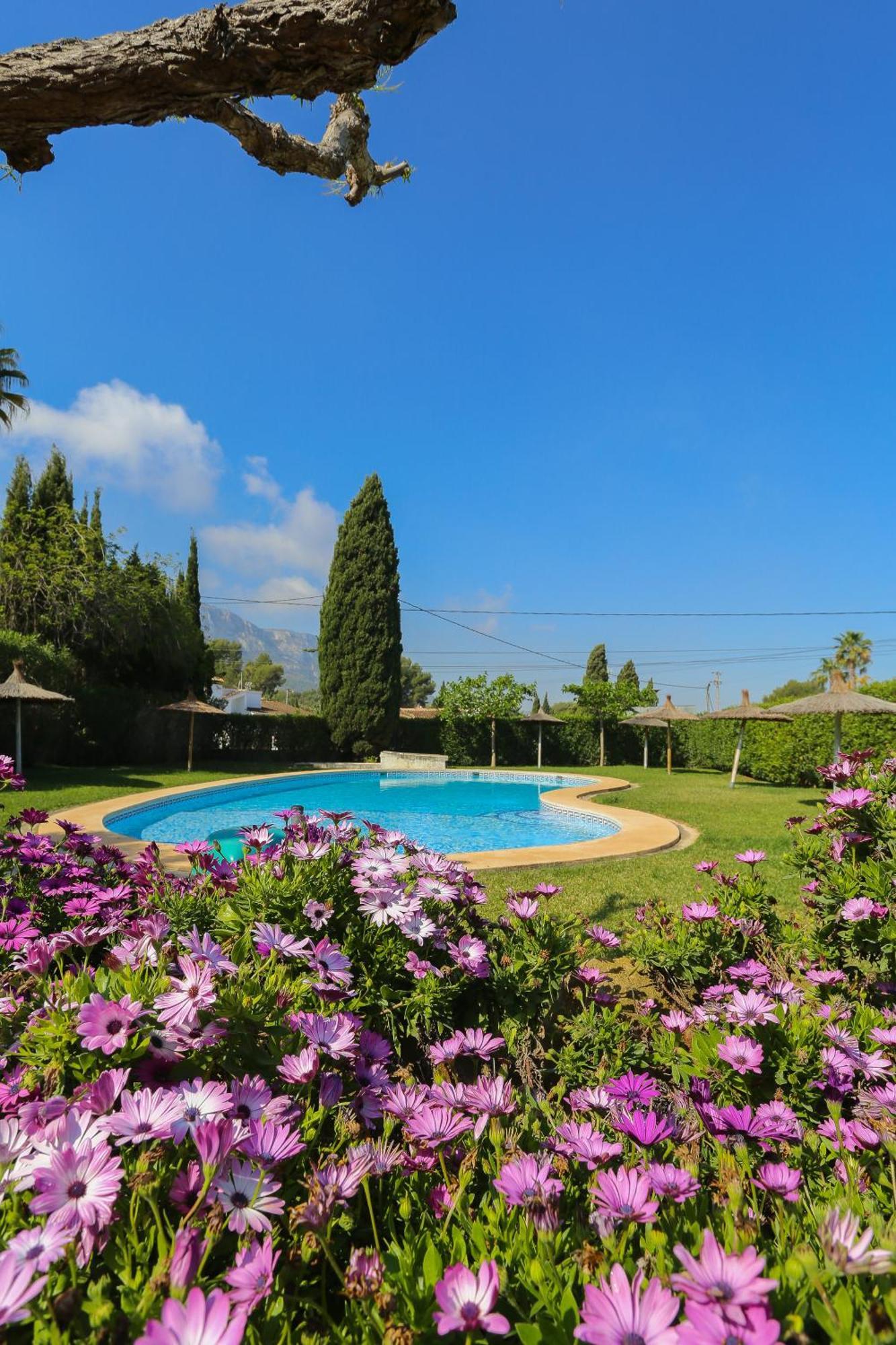 Retiro Sol - Apartamento Montesol B22 Dénia Eksteriør billede